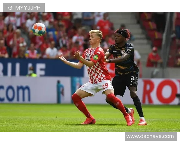 罗森博格与布兰历史交锋回顾及战绩分析