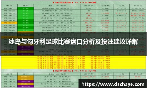冰岛与匈牙利足球比赛盘口分析及投注建议详解